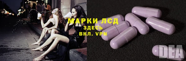 индика Аркадак