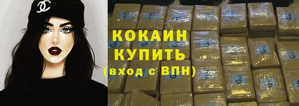 индика Аркадак