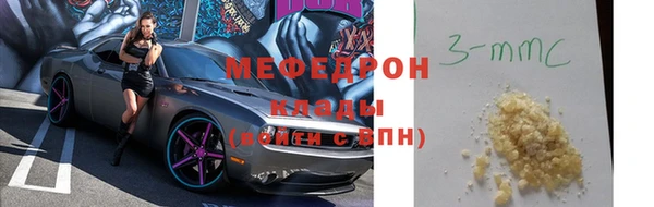 индика Аркадак