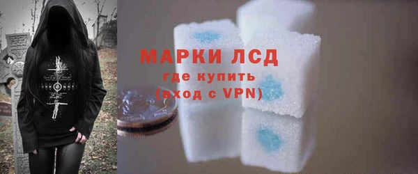 сатива Армянск