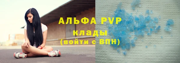 сатива Армянск