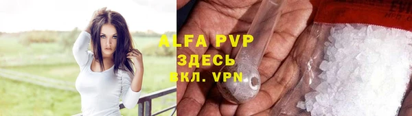 индика Аркадак