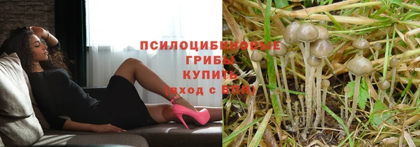 сатива Армянск