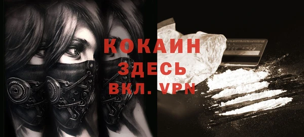 индика Аркадак