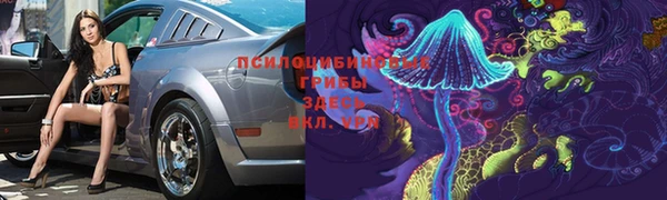 сатива Армянск